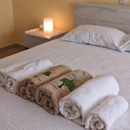 Sithonia Lodge ميتامورفوسي المظهر الخارجي الصورة