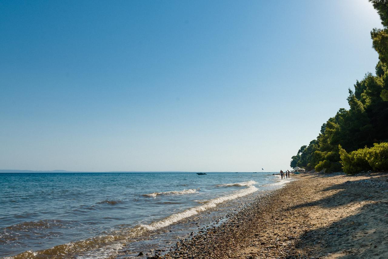Sithonia Lodge ميتامورفوسي المظهر الخارجي الصورة