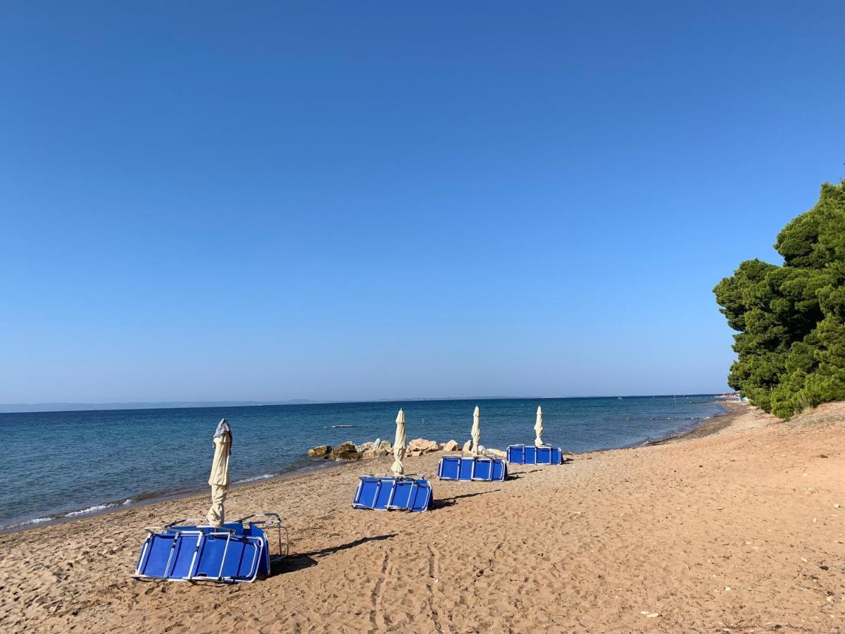 Sithonia Lodge ميتامورفوسي المظهر الخارجي الصورة