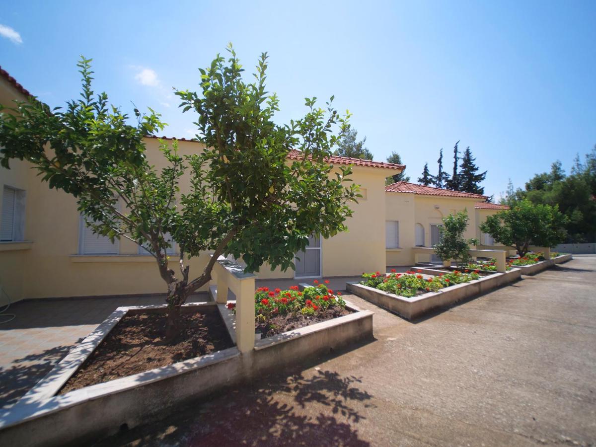 Sithonia Lodge ميتامورفوسي المظهر الخارجي الصورة