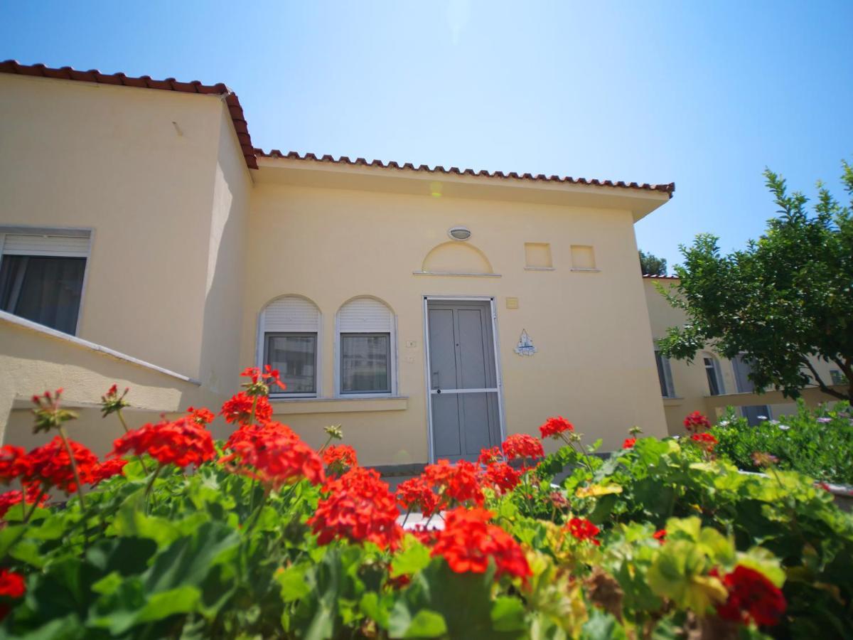 Sithonia Lodge ميتامورفوسي المظهر الخارجي الصورة